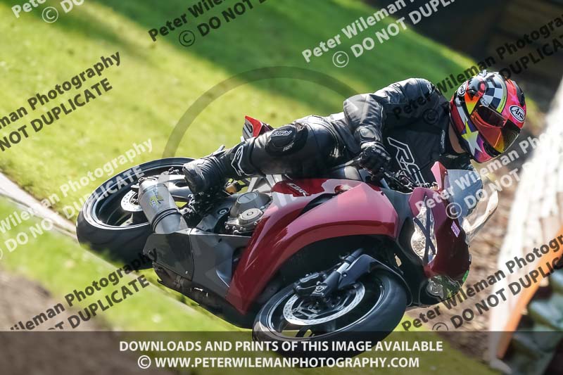 brands hatch photographs;brands no limits trackday;cadwell trackday photographs;enduro digital images;event digital images;eventdigitalimages;no limits trackdays;peter wileman photography;racing digital images;trackday digital images;trackday photos